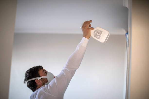 Best Same-Day Mold Removal  in Indian River Estates, FL