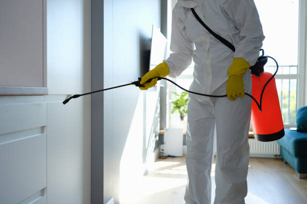 Best Certified Mold Removal  in Indian River Estates, FL