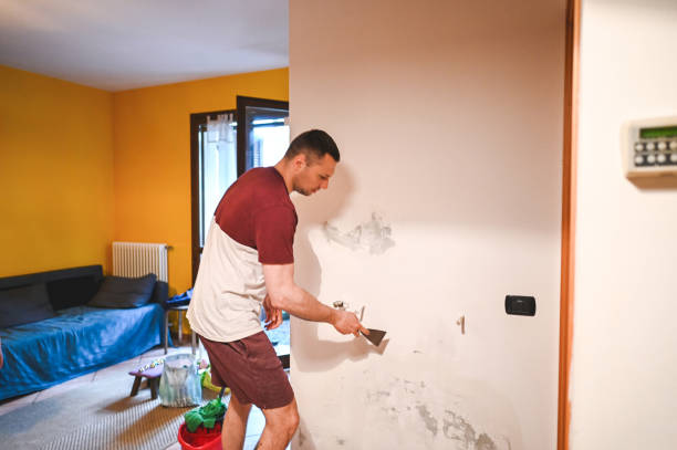 Best Crawl Space Mold Removal  in Indian River Estates, FL